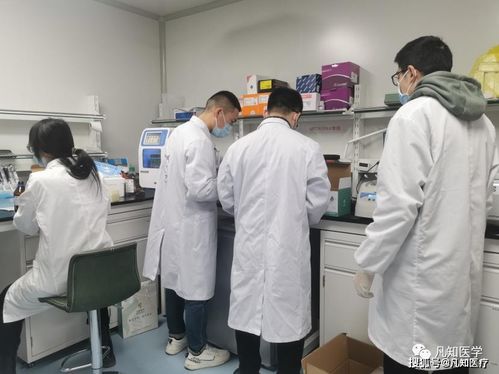 恭喜凡知醫學榮獲“專精特新”企業認定 技術創新引領行業推廣